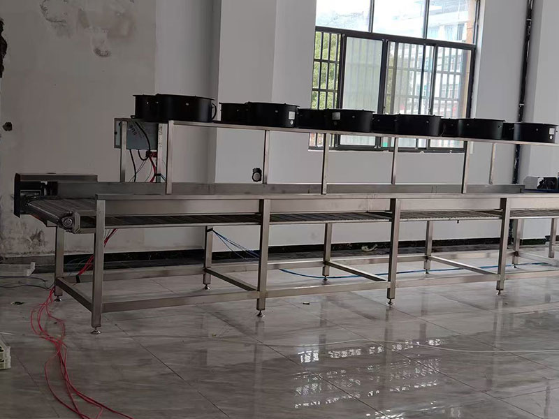 Zhejiang daylily processing site